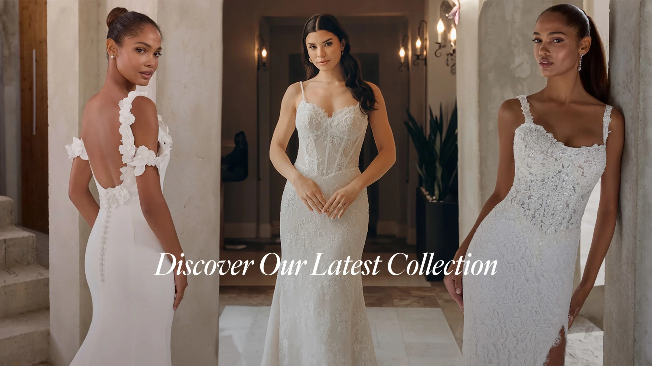 Discover Our Latest Collection