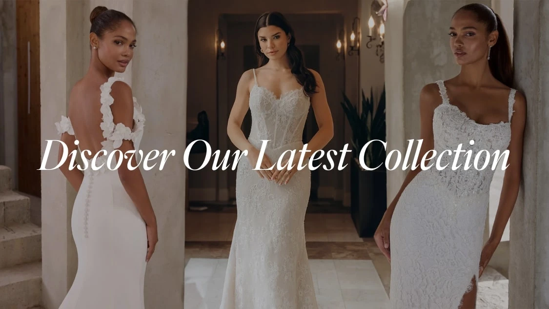 Discover Our Latest Collection