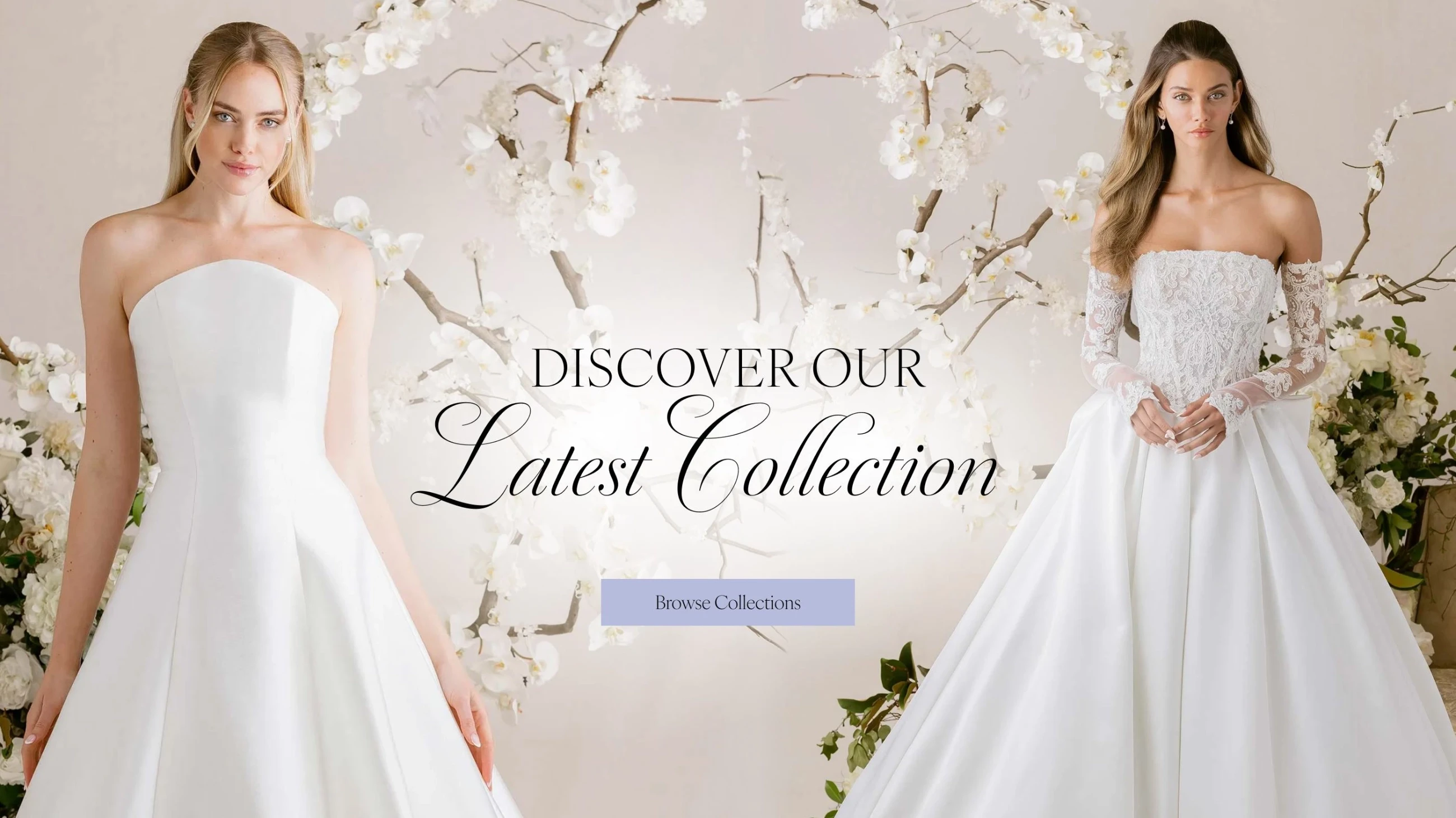 Discover Our Latest Collection